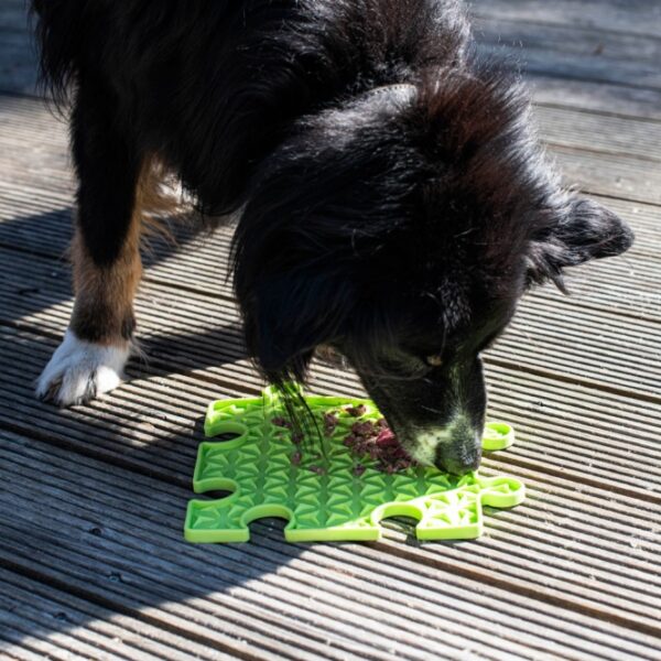 Entdecken Sie die perfekte Beschäftigung für Ihren Hund mit der hochwertigen Schleckplatte von Ladi Mat! Diese innovative Leckmatte ermöglicht es Ihnen, die Oberfläche einfach mit einer köstlichen Leckerei zu bestreichen, sodass Ihr Hund stundenlangen und leckeren Spaß hat. Ideal zur Abkühlung kann die Schleckplatte sogar mit der Leckerei eingefroren werden – so bleibt Ihr Vierbeiner auch an heißen Tagen beschäftigt und glücklich. Die Ladi Mat Puzzle ist erweiterbar und besteht aus ungiftigem Silikon mit einem speziellen Anti-Rutsch-Belag in Lebensmittelqualität. Sie ist spülmaschinengeeignet und frostfest, was sie besonders pflegeleicht macht. Mit einer Größe von ca. 23 x 23 cm und in einem ansprechenden Grün ist diese Schleckplatte ein Muss für jeden Hundebesitzer, der Wert auf Qualität und Sicherheit legt!