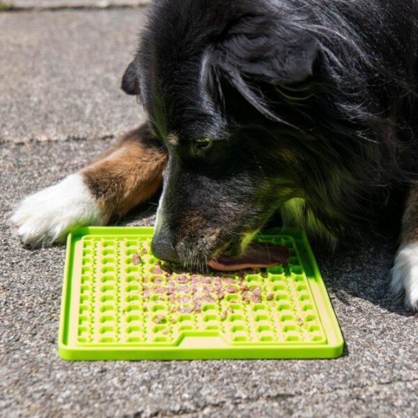 Diese hochwertige Schleckplatte ist ideal zur Beschäftigung Ihres Hundes und sorgt für stundenlangen Spaß. Einfach die Ladi Mat mit einer leckeren Belohnung bestreichen, und Ihr Hund wird sich über ein langes und schmackhaftes Vergnügen freuen. Für zusätzliche Abkühlung kann die Schleckplatte auch mit der Leckerei eingefroren werden, perfekt für heiße Tage! Hergestellt aus ungiftigem TPR in Lebensmittelqualität, ist die Ladi Mat spülmaschinengeeignet und frostfest, was sie besonders pflegeleicht macht. Mit kompakten Maßen von ca. 20 x 20 cm und einer ansprechenden grünen Farbe ist diese Schleckplatte nicht nur funktional, sondern auch ein echter Hingucker. Gönnen Sie Ihrem Hund das beste Erlebnis mit dieser praktischen und langlebigen Schleckplatte!