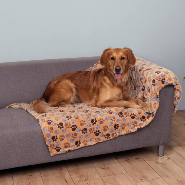 Dieser hochwertige Softfleece-Decke ist besonders weich und kuschelig und bietet optimalen Schutz für Ihre Polster vor Schmutz und Tierhaaren. Ideal für Allergiker, sorgt sie für ein angenehmes Wohnklima und ist bei 60°C waschbar, was die Pflege einfach und unkompliziert macht. Die Decke in einem stilvollen Beige mit niedlichen Pfotenmotiven hat die Maße 150 × 100 cm und passt perfekt in jedes Zuhause. Gönnen Sie sich und Ihren Lieben den Komfort dieser kuscheligen Decke, die sowohl Funktionalität als auch hohe Qualität vereint.