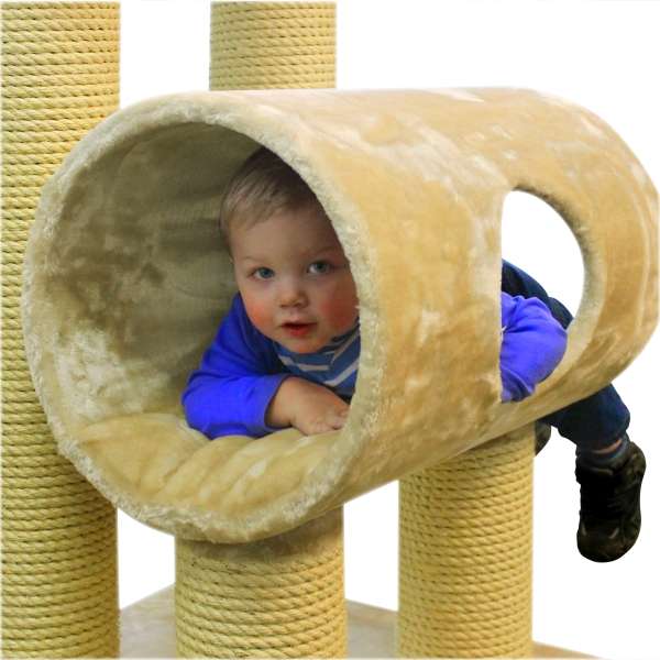 Entdecken Sie den perfekten Kratzbaum für große und schwere Katzen – den Kratzbaum Tivoli aus der beliebten Maine Coon Serie! Dieser hochwertige Kratzbaum ist besonders stabil konstruiert und bietet Ihrem geliebten Haustier einen idealen Spiel- und Schlafplatz. Mit einem großzügigen Tunnel von 40 cm Durchmesser und einer Liegschale im XXL Format (40 x 60 cm) findet jede Katze bequem Platz zum Entspannen. Die robusten Sisalstämme mit einem Durchmesser von 15 cm sind speziell für die Bedürfnisse großer Katzen ausgelegt und sorgen für langlebigen Kratzspaß. Das stilvolle Design wird durch die dicke Sisalwicklung (10 mm) und die verstärkte Bodenplatte abgerundet, die für einen sicheren Stand sorgt. Der Tunnel und die Liegeschale sind mit weichem, strapazierfähigem Plüsch bezogen und bieten zusätzlichen Komfort. Die Gesamtmaße betragen 60 x 60 x 115 cm (L x B x H) und die Farbe Beige fügt sich harmonisch in jedes Zuhause ein. Gönnen Sie Ihrer Katze diesen hochwertigen Kratzbaum für ein glückliches und erfülltes Leben!