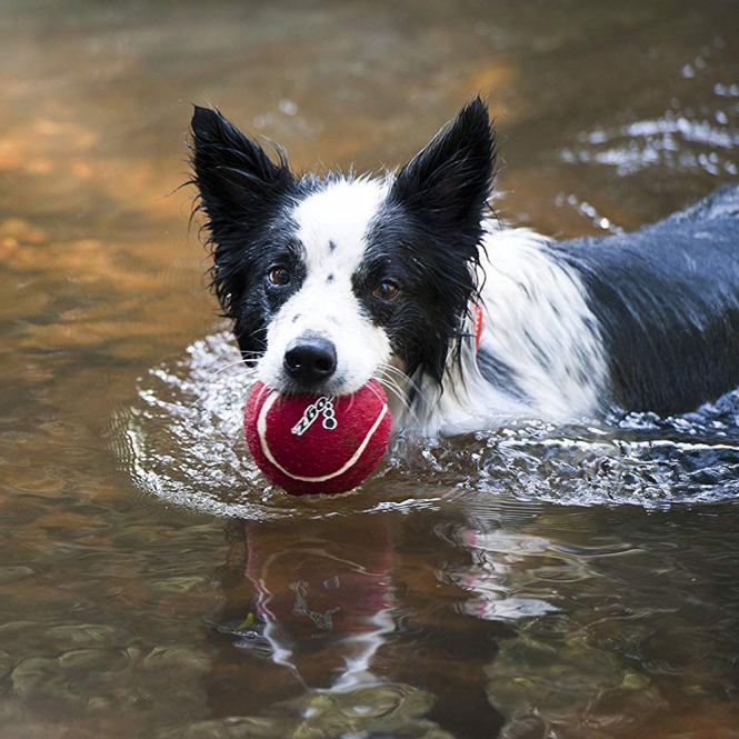 Entdecken Sie den hochwertigen Retro-Tennisball von **rogz**, der für jeden Spaß beim Spielen, Springen und Werfen sorgt! Diese coole Trendmarke vereint **stylisches Design** mit **hoher Funktionalität** und bietet Ihnen ein Produkt, das sowohl für Menschen als auch für Hunde geeignet ist. Der Tennisball besteht aus **100% Polyester**, dickem Naturkautschuk und ungiftigem Kalziumkarbonat, sodass er sicher in der Anwendung ist. Mit einem Durchmesser von **8 cm** und der **leuchtenden blauen Farbe** ist dieser Ball nicht nur ein echter Hingucker, sondern schwimmt auch hervorragend im Wasser. Holen Sie sich den perfekten Spielgefährten und erleben Sie jede Menge Spaß mit dem **rogz Retro-Tennisball** – ideal für aktive Tage im Freien!