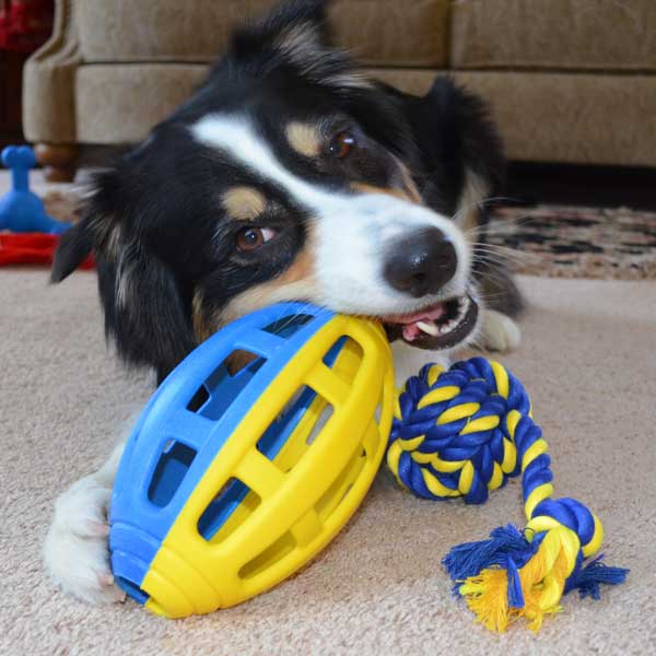 Entdecken Sie unser urstarkes Apportier-Spielzeug in Form eines Rugby Balls, das perfekt für aktive Hunde geeignet ist. Hergestellt aus robustem und langlebigem TPR Gummi, bietet dieses Spielzeug nicht nur hohe Qualität, sondern auch eine hervorragende Spielbarkeit. Dank des dehnbaren Gummis können Sie problemlos größere Leckerlies verstecken, was das Apportieren noch spannender macht. Mit einer Größe von ca. 20 x 11,5 cm ist dieses Spielzeug ideal für mittelgroße bis große Hunde. Eine absolute Empfehlung für alle Hundebesitzer, die ihren Vierbeinern ein unterhaltsames und strapazierfähiges Spielzeug bieten möchten!