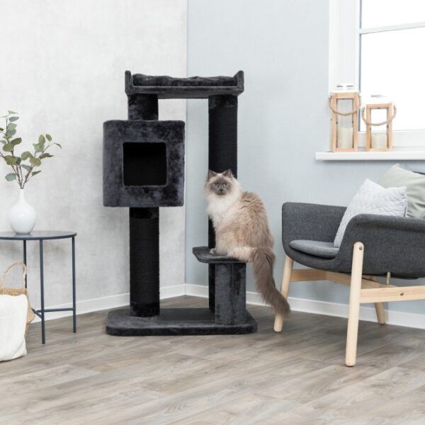 Dieser hochwertige Katzenbaum ist besonders für große Katzen geeignet und bietet ihnen den perfekten Rückzugsort. Mit einem weichen Plüsch-Bezug sorgt er für maximalen Komfort und Entspannung. Die Stämme sind mit extra dickem Natursisal und Plüsch umwickelt, was für zusätzliche Stabilität und ein angenehmes Kratzgefühl sorgt. Die gemütliche Höhle ist mit kuscheligem Plüsch und Fleece ausgestattet, ideal für ein Nickerchen. Die großzügige Liegeplatte mit einem Wendekissen, das sich leicht von Hand waschen lässt, bietet einen weiteren bequemen Platz zum Entspannen. In elegantem Anthrazit fügt sich dieser Katzenbaum harmonisch in jede Wohnung ein. Mit einer Grundfläche von 70 × 50 cm, einem Stamm von 15 cm und einer Höhe von 122 cm ist er die ideale Wahl für anspruchsvolle Katzenliebhaber, die Wert auf hohe Qualität und Funktionalität legen.