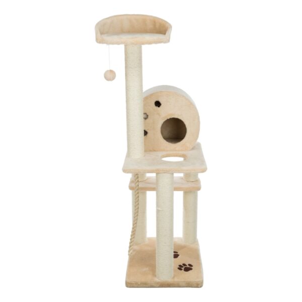 Der Trixie Dream World Kratzbaum Salamanca ist die perfekte Lösung für Katzenliebhaber, die ihren Stubentigern einen idealen Spiel- und Ruheplatz bieten möchten. Mit einer beeindruckenden Höhe von 138 cm und einer stabilen Bodenplatte (40x50 cm) schützt dieser Kratzbaum Ihre Möbel und Teppiche vor den natürlichen Kratzgewohnheiten Ihrer Katze. Die 6 Sisal-Stämme (Durchmesser 8 cm) sind ideal zum Kratzen und fördern die Gesundheit Ihrer Katze. Die Liegeflächen, darunter eine gepolsterte Liegeplatte mit Rand und eine Liegeplatte mit integrierter Höhle, sind mit weichem Plüsch bezogen, was zusätzlichen Komfort bietet. Um Langeweile zu vermeiden, ist der Kratzbaum mit einem Spielseil und 4 Spielzeugen am Gummiband ausgestattet. Die gemütliche Höhle (37x33x21 cm) ist vollständig mit Fleece ausgestattet und besticht durch ein charmantes Pfoten-Design, das sich in den kleinen Pfotenabdrücken auf der Bodenplatte widerspiegelt. Der Trixie Dream World Kratzbaum Salamanca in Beige vereint hohe Qualität mit ansprechendem Design und ist damit die beste Wahl für Katzen jeden Alters.