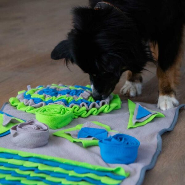 Die Intelligenzschnüffelmatte 2 ist ein hochwertiges Spielzeug für Ihren Hund und misst ca. 70 x 52 cm. Diese innovative Schnüffelmatte bietet zahlreiche Leckerli-Versteckmöglichkeiten, die Ihrem Vierbeiner nicht nur jede Menge Spaß, sondern auch eine spannende Herausforderung bieten. Durch das Suchen und Finden der Leckerlis wird die geistige Auslastung Ihres Hundes gefördert, was zu einem glücklicheren und ausgeglicheneren Tier führt. Ideal für alle Hunderassen, ist diese Matten eine günstige und effektive Möglichkeit, die Beschäftigung Ihres Hundes zu steigern und Langeweile zu vermeiden. Holen Sie sich jetzt die Intelligenzschnüffelmatte 2 und schenken Sie Ihrem Hund eine unterhaltsame und lehrreiche Erfahrung!