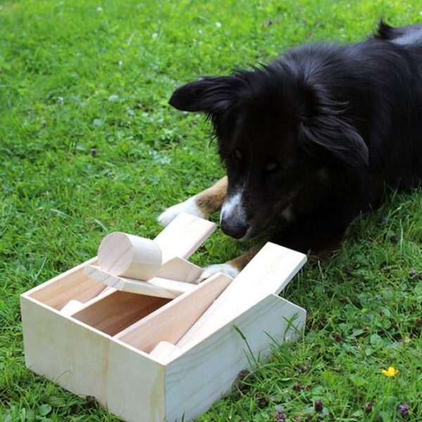 Dieses hochwertige Intelligenz-Spielzeug für Hunde aus Holz ist perfekt für alle, die ihren Vierbeiner geistig fordern und beschäftigen möchten. Hunde sind sehr intelligent und lieben es, ihre Fähigkeiten unter Beweis zu stellen. Das Hundeklavier aus unbehandeltem Massivholz bietet drei Klaviertasten mit Leckerlieröhrchen, die einfach mit kleinen Leckereien gefüllt werden können. Ihr Hund wird begeistert versuchen, seine Belohnung zu ergattern und dabei viel Spaß haben. Mit den kompakten Maßen von ca. 29 x 22 x 10 cm ist dieses Spielzeug ideal für jeden Hund, der Herausforderungen liebt. Fördern Sie die Intelligenz Ihres Hundes und sorgen Sie für stundenlangen Spielspaß mit diesem tollen Spielzeug!