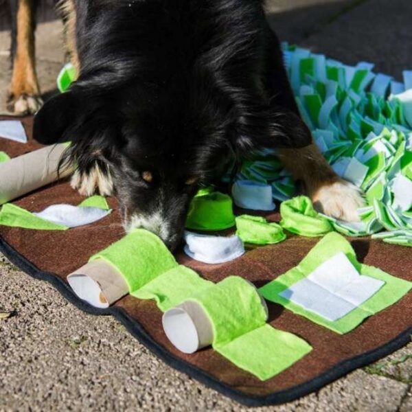 Die **Intelligenzschnüffelmatte** ist ein 80 x 80 cm großes Spielzeug, das speziell für Hunde entwickelt wurde, um ihre Intelligenz und ihren Geruchssinn zu fördern. Sie bietet eine abwechslungsreiche **Schnüffelwiese** auf der einen Seite und über 20 kreative **Leckerli-Versteckmöglichkeiten** in sieben verschiedenen Variationen auf der anderen Seite. Diese innovative Matte sorgt für stundenlange **Beschäftigung** und **Herausforderung** für Ihren Vierbeiner, während sie gleichzeitig Spaß und Spiel fördert. Dank der praktischen **Klettgurte** lässt sich die Matte platzsparend aufrollen und verstauen. Bitte beachten Sie, dass die **Papprollen** nicht im Lieferumfang enthalten sind. Investieren Sie in die geistige Fitness Ihres Hundes mit dieser hochwertigen Schnüffelmatte!