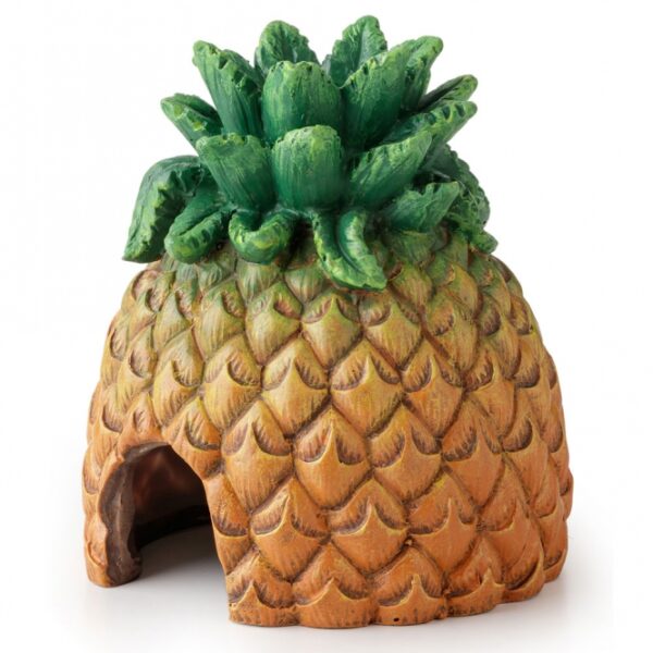 Das Exo Terra Tiki-Sortiment bringt einen exotischen, hawaiianischen Tiki-Stil in Ihr Terrarium und verwandelt es in ein tropisches Paradies. Dieses einzigartige Tiki-Terrarium ist mit einem polynesischen Totem ausgestattet, das den charakteristischen orangefarbenen Exo Terra Gecko aus unserem legendären Logo integriert. Mit diesem hochwertigen Ornament schaffen Sie eine besondere Atmosphäre, die an die traumhaften Strände und das kristallklare Wasser der polynesischen Inseln erinnert. Lassen Sie sich inspirieren und träumen Sie von sanft im Wind raschelnden Palmen und perlweißen Stränden. Die kompakten Maße von ca. 12,5 x 12 x 14 cm machen es zu einer idealen Ergänzung für jedes Terrarium. Verleihen Sie Ihrem Lebensraum mit dem Exo Terra Tiki-Terrarium einen Hauch von exotischem Flair!