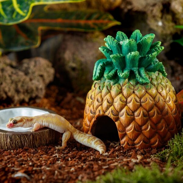 Das Exo Terra Tiki-Sortiment bringt einen exotischen, hawaiianischen Tiki-Stil in Ihr Terrarium und verwandelt es in ein tropisches Paradies. Dieses einzigartige Tiki-Terrarium ist mit einem polynesischen Totem ausgestattet, das den charakteristischen orangefarbenen Exo Terra Gecko aus unserem legendären Logo integriert. Mit diesem hochwertigen Ornament schaffen Sie eine besondere Atmosphäre, die an die traumhaften Strände und das kristallklare Wasser der polynesischen Inseln erinnert. Lassen Sie sich inspirieren und träumen Sie von sanft im Wind raschelnden Palmen und perlweißen Stränden. Die kompakten Maße von ca. 12,5 x 12 x 14 cm machen es zu einer idealen Ergänzung für jedes Terrarium. Verleihen Sie Ihrem Lebensraum mit dem Exo Terra Tiki-Terrarium einen Hauch von exotischem Flair!