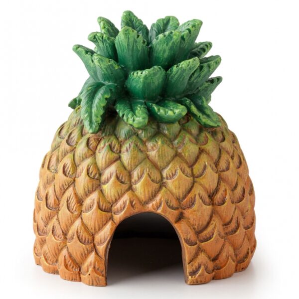 Das Exo Terra Tiki-Sortiment bringt einen exotischen, hawaiianischen Tiki-Stil in Ihr Terrarium und verwandelt es in ein tropisches Paradies. Dieses einzigartige Tiki-Terrarium ist mit einem polynesischen Totem ausgestattet, das den charakteristischen orangefarbenen Exo Terra Gecko aus unserem legendären Logo integriert. Mit diesem hochwertigen Ornament schaffen Sie eine besondere Atmosphäre, die an die traumhaften Strände und das kristallklare Wasser der polynesischen Inseln erinnert. Lassen Sie sich inspirieren und träumen Sie von sanft im Wind raschelnden Palmen und perlweißen Stränden. Die kompakten Maße von ca. 12,5 x 12 x 14 cm machen es zu einer idealen Ergänzung für jedes Terrarium. Verleihen Sie Ihrem Lebensraum mit dem Exo Terra Tiki-Terrarium einen Hauch von exotischem Flair!