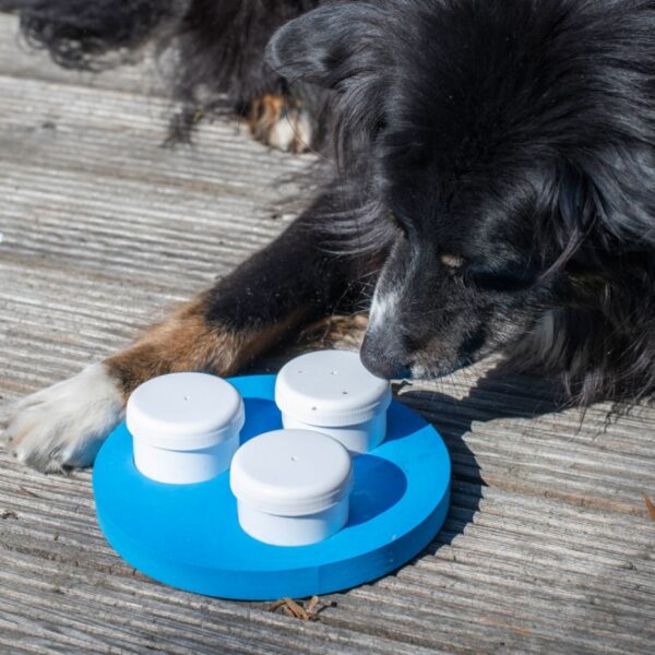 Dieses kleine Schnüffel-Set ist die perfekte Beschäftigung für alle Hunde und eignet sich hervorragend zum Training ihrer Geruchswahrnehmung. Mit diesem Lernset können Hunde verschiedene Gerüche erkennen und unterscheiden, was nicht nur Spaß macht, sondern auch ihre Sinne schärft. Das komplette Set beinhaltet spezielle Geruchsbehälter, einen Klicker und einen praktischen Ring aus ungiftigem EVA-Kunststoff. Dank seiner kompakten Maße ist das Set leicht mitnehmbar und ideal für unterwegs. Es ist spülmaschinengeeignet, sodass die Reinigung mühelos von der Hand geht. Hunde haben einen außergewöhnlich guten Geruchssinn, und durch gezielte Nasenarbeit wird ihr Gehirn gefordert, was zu einer artgerechten Auslastung führt. Nasenspiele sind eine wertvolle Beschäftigung, die Hunde müde macht, ohne sie zu überfordern. Dieses Schnüffel-Set ist somit eine hervorragende Lösung für zufriedene und ausgeglichene Hunde.