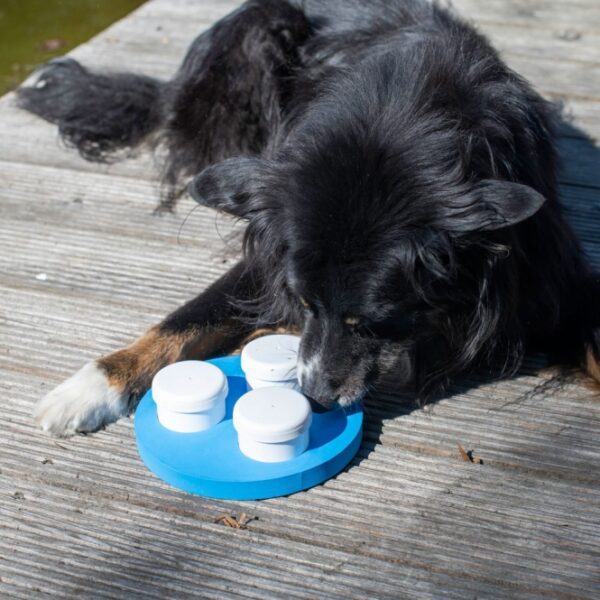 Dieses kleine Schnüffel-Set ist die perfekte Beschäftigung für alle Hunde und eignet sich hervorragend zum Training ihrer Geruchswahrnehmung. Mit diesem Lernset können Hunde verschiedene Gerüche erkennen und unterscheiden, was nicht nur Spaß macht, sondern auch ihre Sinne schärft. Das komplette Set beinhaltet spezielle Geruchsbehälter, einen Klicker und einen praktischen Ring aus ungiftigem EVA-Kunststoff. Dank seiner kompakten Maße ist das Set leicht mitnehmbar und ideal für unterwegs. Es ist spülmaschinengeeignet, sodass die Reinigung mühelos von der Hand geht. Hunde haben einen außergewöhnlich guten Geruchssinn, und durch gezielte Nasenarbeit wird ihr Gehirn gefordert, was zu einer artgerechten Auslastung führt. Nasenspiele sind eine wertvolle Beschäftigung, die Hunde müde macht, ohne sie zu überfordern. Dieses Schnüffel-Set ist somit eine hervorragende Lösung für zufriedene und ausgeglichene Hunde.