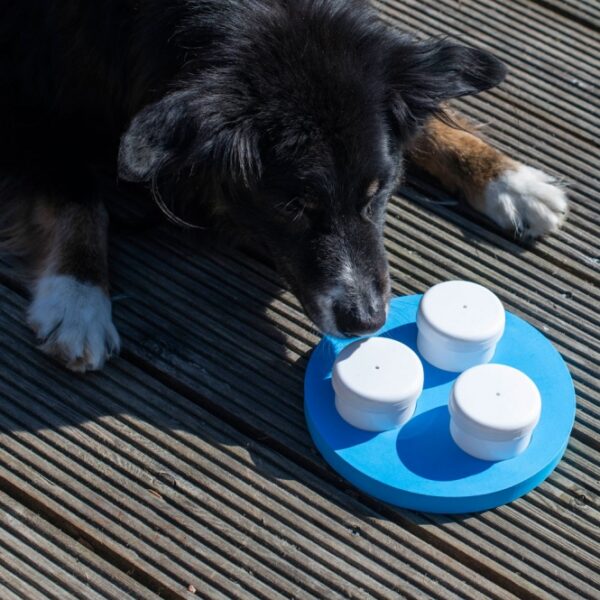 Dieses kleine Schnüffel-Set ist die perfekte Beschäftigung für alle Hunde und eignet sich hervorragend zum Training ihrer Geruchswahrnehmung. Mit diesem Lernset können Hunde verschiedene Gerüche erkennen und unterscheiden, was nicht nur Spaß macht, sondern auch ihre Sinne schärft. Das komplette Set beinhaltet spezielle Geruchsbehälter, einen Klicker und einen praktischen Ring aus ungiftigem EVA-Kunststoff. Dank seiner kompakten Maße ist das Set leicht mitnehmbar und ideal für unterwegs. Es ist spülmaschinengeeignet, sodass die Reinigung mühelos von der Hand geht. Hunde haben einen außergewöhnlich guten Geruchssinn, und durch gezielte Nasenarbeit wird ihr Gehirn gefordert, was zu einer artgerechten Auslastung führt. Nasenspiele sind eine wertvolle Beschäftigung, die Hunde müde macht, ohne sie zu überfordern. Dieses Schnüffel-Set ist somit eine hervorragende Lösung für zufriedene und ausgeglichene Hunde.