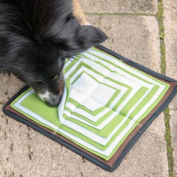 Mit dem neuen Leckerli-Suchspiel Schnüffelpyramide wird Ihr Hund auf spielerische Weise aktiv und erhält seine Belohnung direkt nach dem erfolgreichen Suchen. Diese innovative Schnüffelpyramide bietet jede Menge Spaß und fördert die geistige Stimulation Ihres Hundes. Auf der großzügigen Matte von ca. 49 x 49 cm können Leckerlis oder ganze Trockenfutter-Mahlzeiten zwischen den weichen Stofflagen versteckt werden, die Ihr Hund mit Freude erschnüffeln wird. Der rutschfeste Anti-Rutsch-Belag sorgt für Sicherheit während des Spiels, und die Waschmaschinenfestigkeit macht die Reinigung besonders einfach. Verfügbar in den ansprechenden Farben Grün, Weiß und Braun, ist die Schnüffelpyramide der perfekte Weg, um die natürlichen Instinkte Ihres Hundes zu fördern und gleichzeitig für Unterhaltung zu sorgen. Ideal für alle Hundebesitzer, die nach einem hochwertigen und unterhaltsamen Spielzeug suchen!