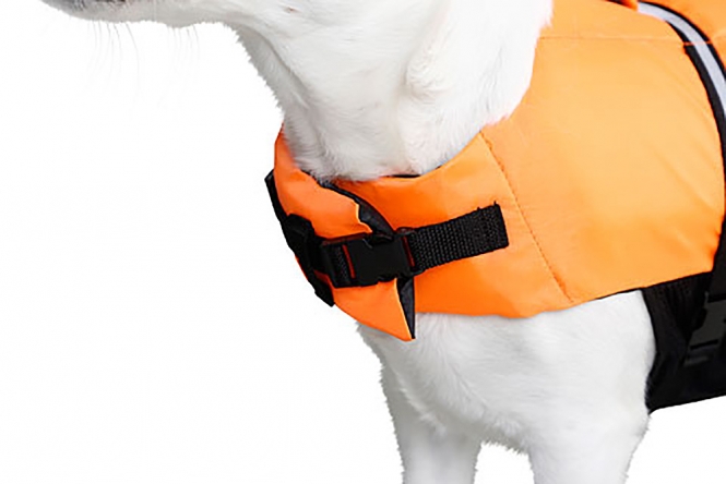 Dieser hochwertige Hundewestenschutz ist optimal geeignet für Training und Spiel in und an Gewässern. Er bietet Sicherheit bei Bootsausflügen und besteht aus 100 % strapazierfähigem Polyester, das schmutzabweisend ist. Mit einem praktischen Tragegriff und einer Bauch- und Brustverschnallung, die sowohl Klett- als auch Klickverschlüsse verwendet, ist dieser Schutz einfach zu handhaben. Die reflektierenden Streifen und die auffällige Signalfarbe sorgen dafür, dass Ihr Hund auch in schwierigen Lichtverhältnissen leicht zu finden ist. Eine zusätzliche Öse ermöglicht das Anbringen von Hundemarken oder wasserfesten Leuchtanhängern. Dieser Hundewestenschutz fördert die Mensch-Hund-Beziehung und sorgt für ein abwechslungsreiches Fitnessprogramm, das Ihren vierbeinigen Freund gesund und fit hält. Er ist geeignet für Hunde mit einem Bauchumfang von 80-100 cm und einer Rückenlänge von 65 cm, ideal für Tiere bis zu 40 kg. Holen Sie sich jetzt diesen praktischen Begleiter für Ihre Abenteuer am Wasser!