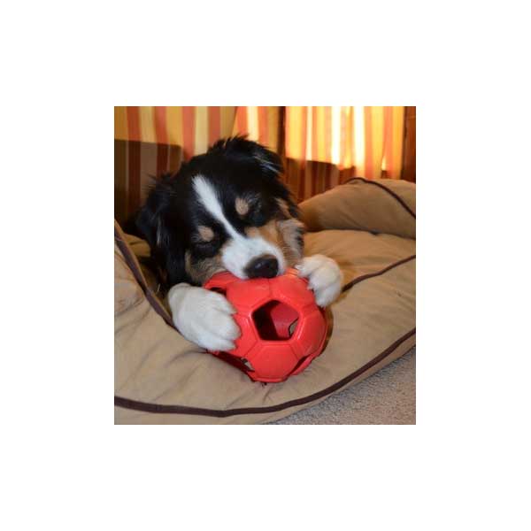 Entdecken Sie das innovative Belohnungs- und Apportierspielzeug, den Turbo Kick Soccer Ball! Dieses einzigartige Spielzeug überzeugt durch seine flexible und stabile Form, die es ideal für aufregende Fußballspiele mit Ihrem Hund macht. Verstecken Sie köstliche Leckerlies im Ball und ziehen Sie den Gummi auf, um größere Snacks oder Bälle einzulegen – so bleibt das Spiel abwechslungsreich und spannend! Mit seinem verführerischen Vanille-Aroma wird Ihr Hund noch mehr Freude daran haben. Der Turbo Kick Soccer Ball hat einen Durchmesser von ca. 15 cm und ist in vier verschiedenen Größen sowie in vier attraktiven Farben erhältlich. Holen Sie sich jetzt das beste Spielzeug für Ihren vierbeinigen Freund und fördern Sie spielerisch seine Fitness und Freude!