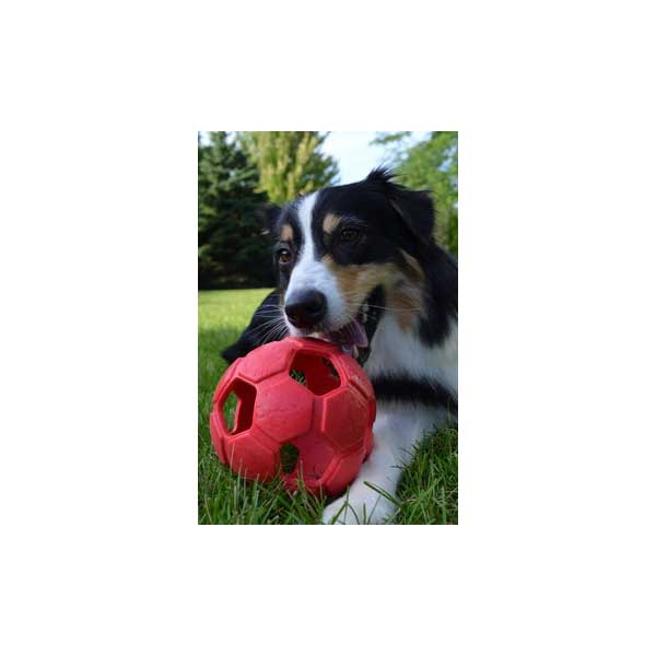 Entdecken Sie das innovative Belohnungs- und Apportierspielzeug, den Turbo Kick Soccer Ball! Dieses einzigartige Spielzeug überzeugt durch seine flexible und stabile Form, die es ideal für aufregende Fußballspiele mit Ihrem Hund macht. Verstecken Sie köstliche Leckerlies im Ball und ziehen Sie den Gummi auf, um größere Snacks oder Bälle einzulegen – so bleibt das Spiel abwechslungsreich und spannend! Mit seinem verführerischen Vanille-Aroma wird Ihr Hund noch mehr Freude daran haben. Der Turbo Kick Soccer Ball hat einen Durchmesser von ca. 15 cm und ist in vier verschiedenen Größen sowie in vier attraktiven Farben erhältlich. Holen Sie sich jetzt das beste Spielzeug für Ihren vierbeinigen Freund und fördern Sie spielerisch seine Fitness und Freude!