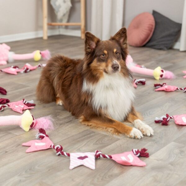 Entdecken Sie unser kuscheliges Hundespielzeug, das perfekt zum Valentinstag geeignet ist! Dieses hochwertige Plüschspielzeug sorgt für stundenlangen Spaß beim Kuscheln und Zerren. Mit einer integrierten Stimme begeistert es nicht nur Ihren Hund, sondern fördert auch die Interaktion und das Spielverhalten. Mit einer Länge von ca. 80 cm ist es ideal für kleine und große Hunde. Schenken Sie Ihrem vierbeinigen Freund das beste Geschenk zum Valentinstag – ein Spielzeug, das sowohl Qualität als auch Freude vereint!