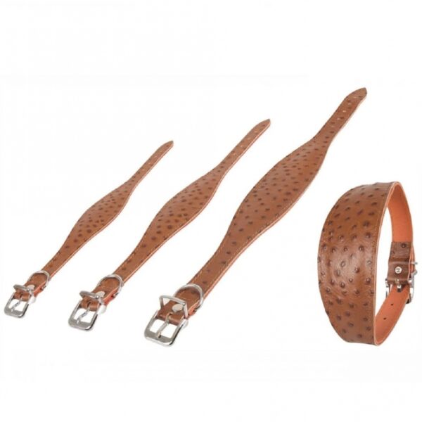 Entdecken Sie unsere exklusive Tasche aus hochwertigem Kalbsleder, die mit einer eleganten Straußenlederprägung und einem stilvollen Vintage-Leder unterlegt ist. Diese handwerklich in Deutschland verarbeitete Tasche ist nicht nur ein echter Blickfang, sondern überzeugt auch durch ihre robuste Bauweise mit genieteten Details und verchromten Beschlägen. Ideal für modebewusste Menschen, die Wert auf hohe Qualität und zeitloses Design legen. Gönnen Sie sich diese luxuriöse Tasche und setzen Sie ein Zeichen für Stil und Eleganz!