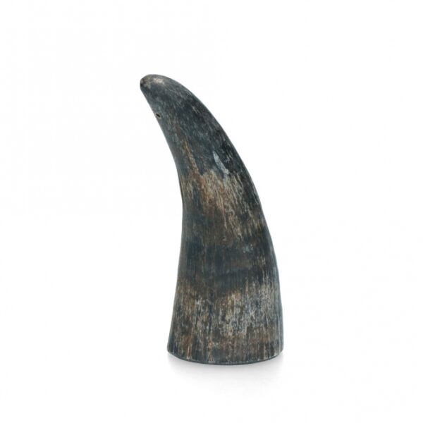 Viking Whole Horn - M