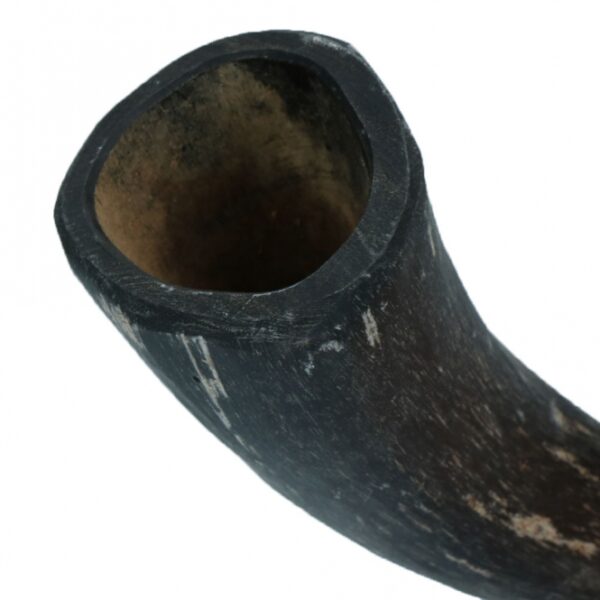 Viking Whole Horn - M – Bild 3