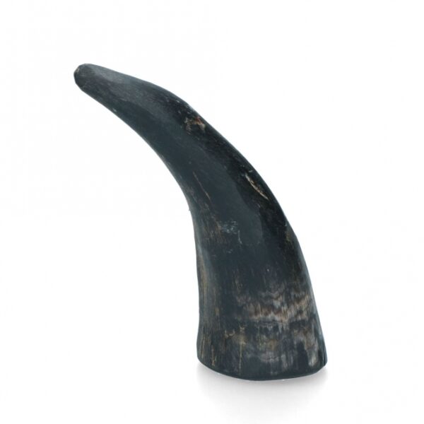 Viking Whole Horn - M – Bild 2