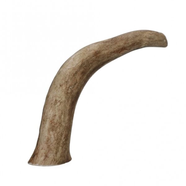 Viking Antler Hard Rothirschgeweih - L – Bild 2