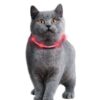 Karlie Visio Light Cat LED-Schlauch mit USB - Pink – Bild 3