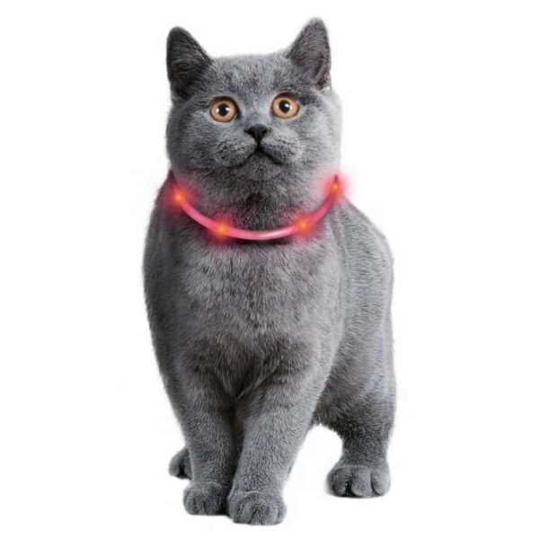 Der Visio Light LED-Schlauch sorgt dafür, dass Ihre Katze bis zu einer Entfernung von ca. 500 m für alle sichtbar ist. Dieses innovative Leuchtprodukt benötigt keine teuren Batterien, die häufig gewechselt werden müssen. Stattdessen verfügt der LED-Leuchtschlauch über einen praktischen Akku, der einfach über das mitgelieferte USB-Kabel aufgeladen werden kann – ideal für den Einsatz am Computer oder in der Steckdose. Der wasserfeste Schlauch bietet die Möglichkeit, zwischen Blink- und Dauerlicht zu wählen und ist zudem universell kürzbar mit einer Länge von ca. 35 cm. CE-getestet und in einem auffälligen Rot erhältlich, ist der Visio Light LED-Schlauch die perfekte Lösung, um die Sicherheit Ihrer Katze im Dunkeln zu gewährleisten. Holen Sie sich jetzt dieses hochwertige und praktische Produkt für mehr Sichtbarkeit und Sicherheit!