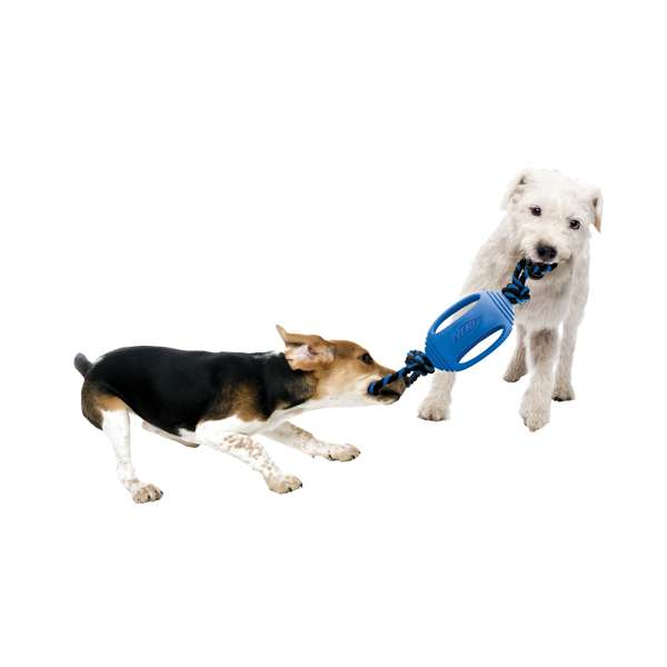 Entdecken Sie das NERF DOG Gummispielzeug mit Tau – den perfekten Begleiter für aktive Ziehspiele mit Ihrem Hund! Der NERF DOG Tuff Tug besteht aus widerstandsfähigem, hochwertigem Gummi und ist ideal für stundenlangen Spielspaß. Unsere NERF DOG Hundespielzeuge vereinen ein funktionelles Design mit speziellen Materialien, die eine intensive Nutzung über lange Zeit ermöglichen. Die Füllung aus Polycotton, der Naturkautschuk und die 3-fachen Nylonnähte garantieren nicht nur Langlebigkeit, sondern auch Spielvergnügen für Ihren vierbeinigen Freund. In einem auffälligen Grün ist dieses Spielzeug nicht nur robust, sondern auch ein echter Hingucker im Spielpark! Holen Sie sich jetzt das beste Gummispielzeug für Ihren Hund und erleben Sie gemeinsame Abenteuer!