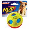 Der NERF Dog Iluma-Action LED-Ball ist das perfekte Hundespielzeug für unvergessliche Spielstunden, egal ob bei Tag oder Nacht! Mit einem Durchmesser von ca. 6 cm in leuchtendem grün/rot sorgt dieser LED-Ball für Spaß und Sicherheit beim Spielen. Die NERF DOG Hundespielzeuge kombinieren ein durchdachtes, funktionales Design mit hochwertigen Materialien, die eine intensive Nutzung über lange Zeit ermöglichen. Lass deinen Hund zum NERF DOG werden und erlebe, wie viel Freude das Apportieren mit diesem robusten und strapazierfähigen Spielzeug macht. Ideal für aktive Hunde, die Bewegung und Spiel lieben!