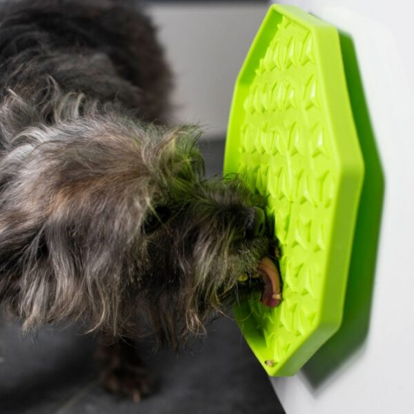Die Ladi Mat Schleckplatte ist das perfekte Spielzeug zur Beschäftigung Ihres Hundes und sorgt für stundenlangen Spaß. Bestreichen Sie die hochwertige Schleckplatte einfach mit einer leckeren Paste oder Ihrem Hundes Lieblingssnack, und schon hat Ihr Vierbeiner ein köstliches und langanhaltendes Vergnügen. Für zusätzliche Abkühlung können Sie die Schleckplatte sogar mit Leckereien einfrieren – ideal für heiße Tage! Die Ladi Mat Wobbler ist mit einem praktischen Saugnapf ausgestattet, der die Matte anhebt und beim Schlecken wackeln lässt, was das Erlebnis noch spannender macht. Hergestellt aus ungiftigem Silikon in Lebensmittelqualität, verfügt sie über einen speziellen Anti-Rutsch-Belag, der für sicheren Halt sorgt. Zudem ist die Schleckplatte spülmaschinengeeignet und frostfest, was die Reinigung und Pflege zum Kinderspiel macht. Mit einem Durchmesser von ca. 25 cm und in einem ansprechenden Grün ist die Ladi Mat nicht nur funktional, sondern auch optisch ein Highlight in jedem Haushalt. Gönnen Sie Ihrem Hund das beste Vergnügen mit dieser langlebigen und praktischen Schleckplatte!