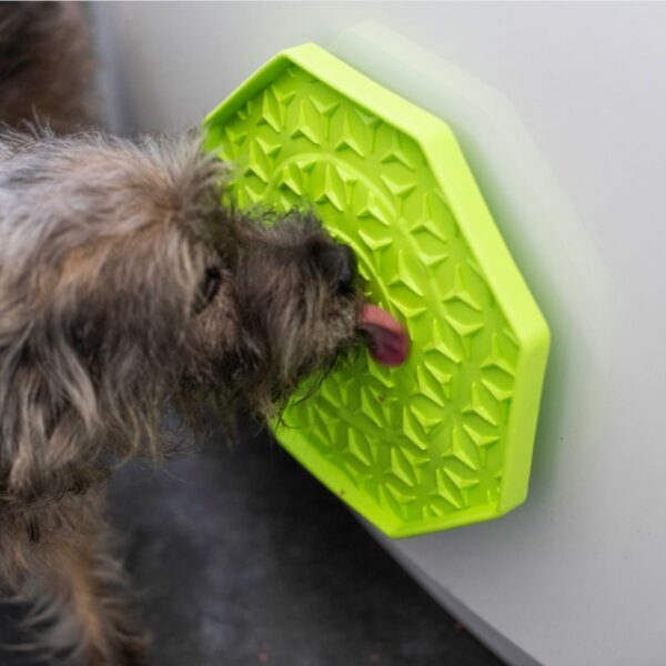 Die Ladi Mat Schleckplatte ist das perfekte Spielzeug zur Beschäftigung Ihres Hundes und sorgt für stundenlangen Spaß. Bestreichen Sie die hochwertige Schleckplatte einfach mit einer leckeren Paste oder Ihrem Hundes Lieblingssnack, und schon hat Ihr Vierbeiner ein köstliches und langanhaltendes Vergnügen. Für zusätzliche Abkühlung können Sie die Schleckplatte sogar mit Leckereien einfrieren – ideal für heiße Tage! Die Ladi Mat Wobbler ist mit einem praktischen Saugnapf ausgestattet, der die Matte anhebt und beim Schlecken wackeln lässt, was das Erlebnis noch spannender macht. Hergestellt aus ungiftigem Silikon in Lebensmittelqualität, verfügt sie über einen speziellen Anti-Rutsch-Belag, der für sicheren Halt sorgt. Zudem ist die Schleckplatte spülmaschinengeeignet und frostfest, was die Reinigung und Pflege zum Kinderspiel macht. Mit einem Durchmesser von ca. 25 cm und in einem ansprechenden Grün ist die Ladi Mat nicht nur funktional, sondern auch optisch ein Highlight in jedem Haushalt. Gönnen Sie Ihrem Hund das beste Vergnügen mit dieser langlebigen und praktischen Schleckplatte!