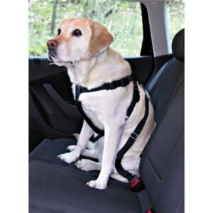 Das hochwertige Auto-Sicherheitsgeschirr von Trixie bietet optimalen Schutz und Komfort für Ihren Hund während der Autofahrt. Hergestellt aus robustem Nylon, ist es nicht nur langlebig, sondern auch als Führgeschirr vielseitig einsetzbar. Mit seiner extra Polsterung und der stufenlosen Verstellbarkeit im Brust- und Bauchbereich passt es sich ideal an die Körperform Ihres Vierbeiners an. Das Geschirr lässt sich einfach und schnell anlegen, wodurch es zu einer praktischen Lösung für den sicheren Auto-Transport wird. Zudem ist es mit einem stufenlos verstellbaren Kurzführer ausgestattet, jedoch nicht für Ford und Volvo geeignet. In elegantem Schwarz und in Größe M (ca. 50-70 cm) ist das Geschirr ideal für Hunde wie den Border Collie. Schützen Sie Ihren Hund mit diesem hochwertigen und praktischen Auto-Sicherheitsgeschirr!