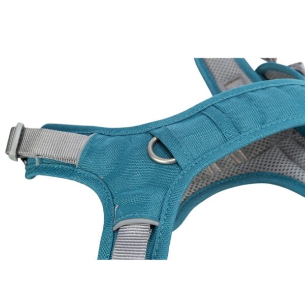 Trixie Premium Active Geschirr - petrol - 60–75 cm/25 mm
