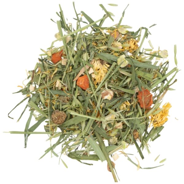 JR Farm Gemüse-Garten im Eimer 600g
