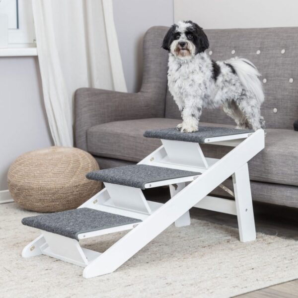 Trixie Rampe mit ausklappbaren Stufen
