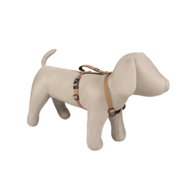 Duvoplus EXPLOR North Geschirr - Taupe - 50-65cm/20mm