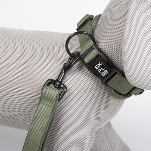 Duvoplus EXPLOR Ultimate Fit Control Halsband Classic - undercover green - XS - 30-33cm