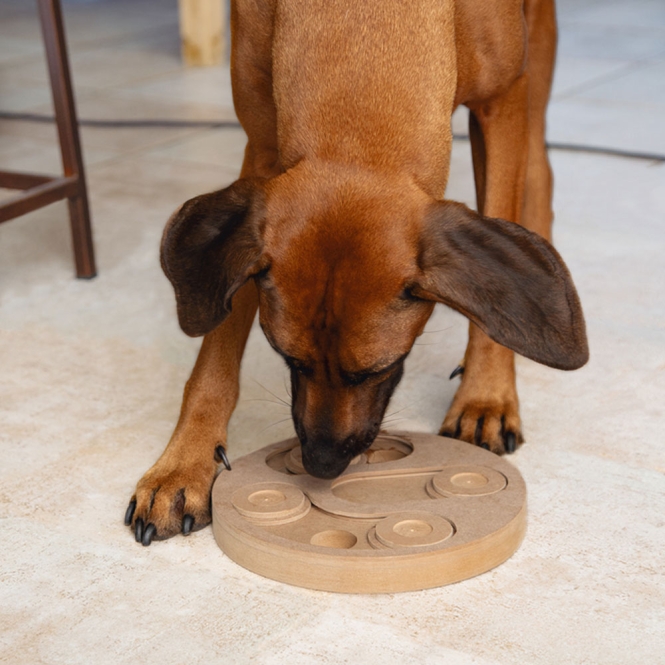 Beeztees Brain Game Giono