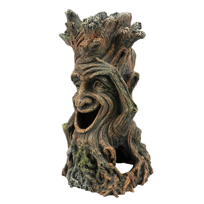 Aqua Della Baum mit Gesicht 2